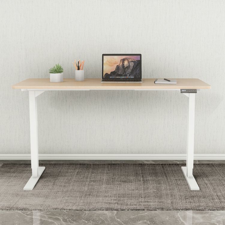 What factors affect the price of a standing desk?